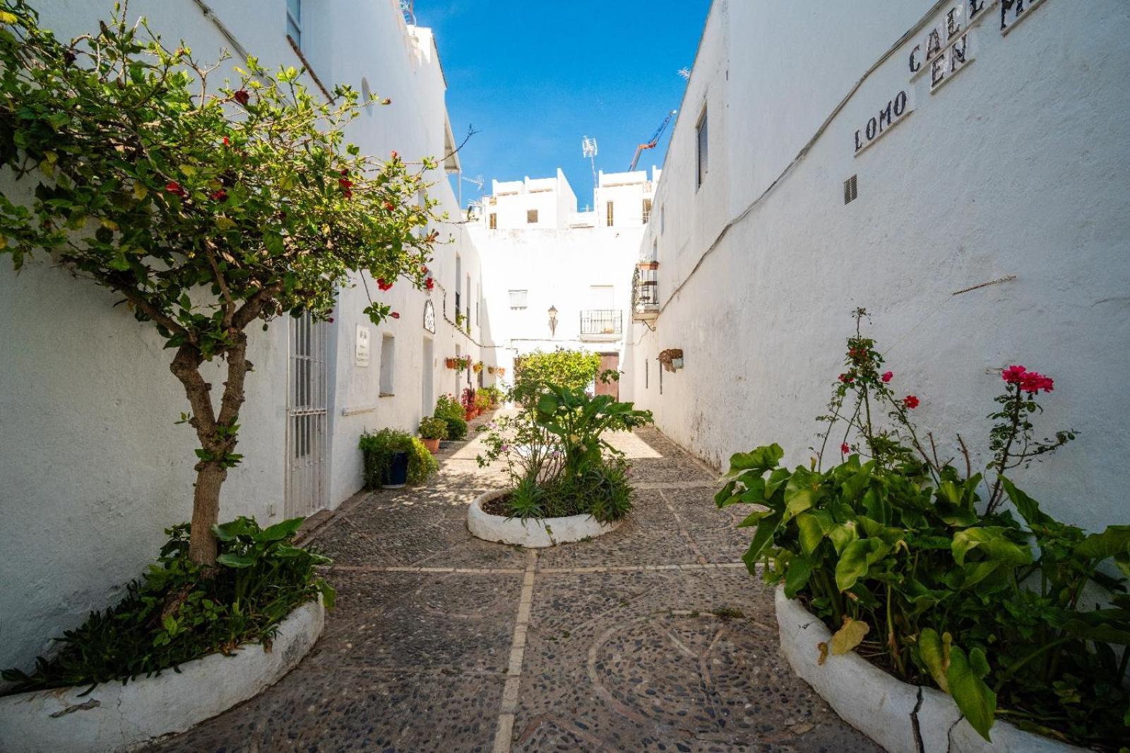 Casa Hibiscus Villa Vejer de la Frontera Dış mekan fotoğraf